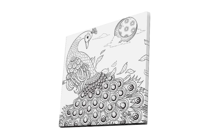 Lerretsbilde 45x45 cm - Påfugl med spredte fjær i en detaljert komposisjon, Svart / Hvit