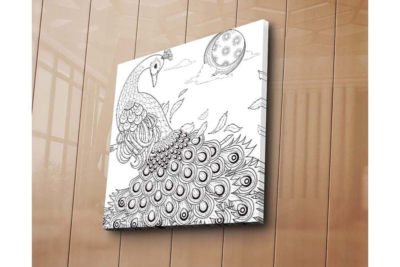 Lerretsbilde 45x45 cm - Påfugl med spredte fjær i en detaljert komposisjon - Svart / Hvit - Innredning - Bilder & kunst - Lerretsbilder