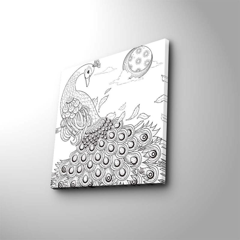 Lerretsbilde 45x45 cm - Påfugl med detaljert fjærdrakt - Svart / Hvit - Innredning - Bilder & kunst - Lerretsbilder