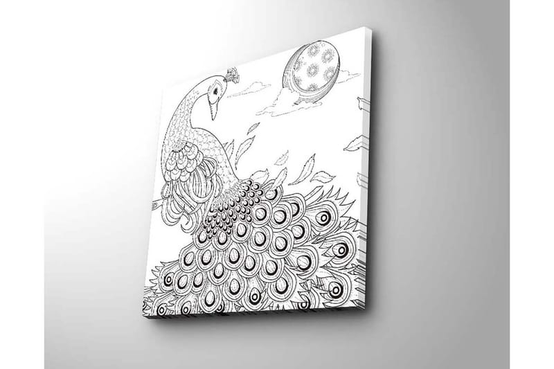Lerretsbilde 45x45 cm - Påfugl med spredte fjær i en detaljert komposisjon - Svart / Hvit - Innredning - Bilder & kunst - Lerretsbilder