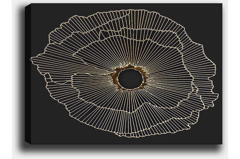 Lerretsbilde 70x100 cm - Abstrakt blomst med gulllinjer på svart bakgrunn - Gull / Svart - Innredning - Bilder & kunst - Lerretsbilder