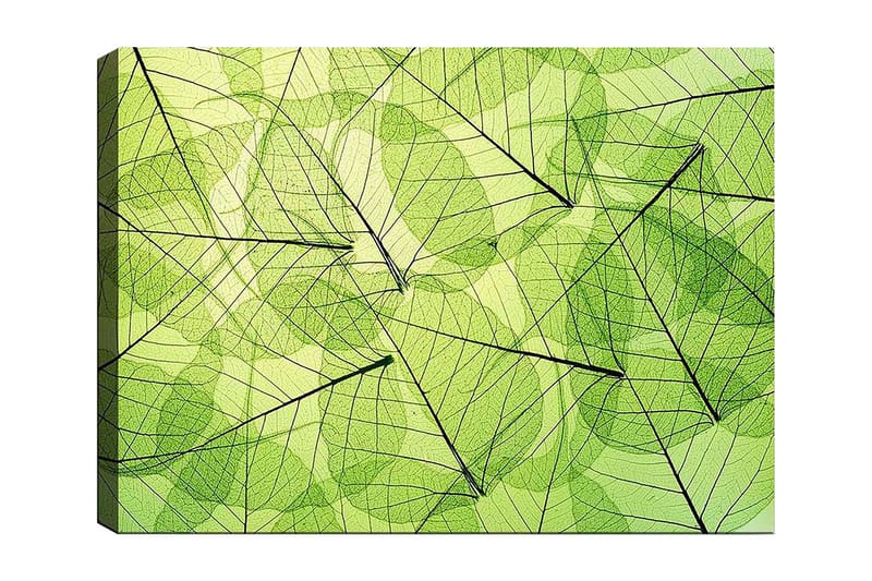 Lerretsbilde 70x100 cm - Abstrakt komposisjon av gjennomsiktige blader i forskjellige grønnfarger - Lys grønn / Mørkegrønn / Svart - Innredning - Bilder & kunst - Lerretsbilder