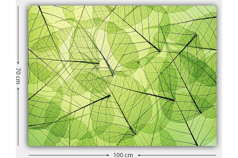 Lerretsbilde 70x100 cm - Abstrakt komposisjon av gjennomsiktige blader i forskjellige grønnfarger - Lys grønn / Mørkegrønn / Svart - Innredning - Bilder & kunst - Lerretsbilder
