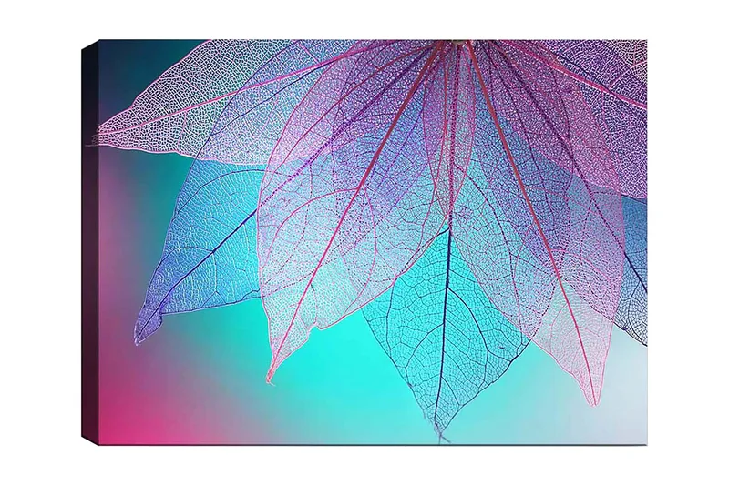 Lerretsbilde 70x100 cm - Abstrakt komposisjon av gjennomsiktige blader med en harmonisk fargepalett, Lilla / Turkis / Rosa