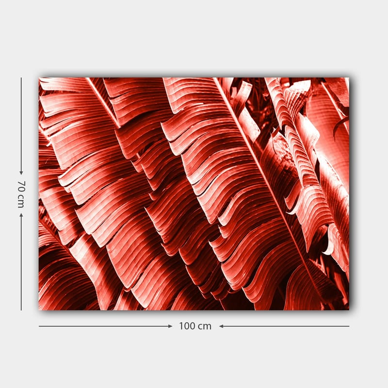 Lerretsbilde 70x100 cm - Abstrakt komposisjon av planteblader i dype røde nyanser - Rød / Mørk rød - Innredning - Bilder & kunst - Lerretsbilder