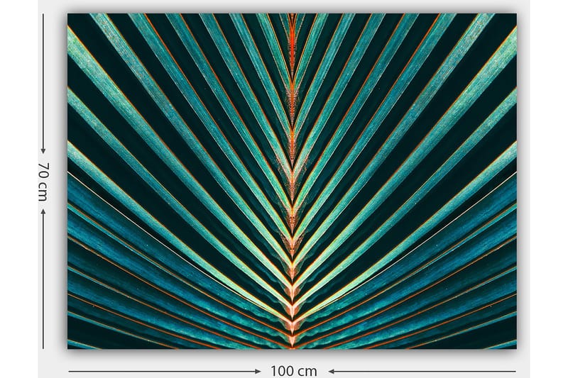 Lerretsbilde 70x100 cm - Abstrakt komposisjon av palmeblader med klare linjer og symmetri - Mørkegrønn / Turkis / Oransje - Innredning - Bilder & kunst - Lerretsbilder
