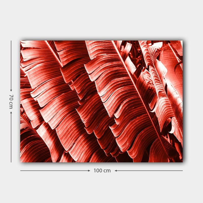 Lerretsbilde 70x100 cm - Abstrakt komposisjon av planteblader i dype røde nyanser - Rød / Mørk rød - Innredning - Bilder & kunst - Lerretsbilder