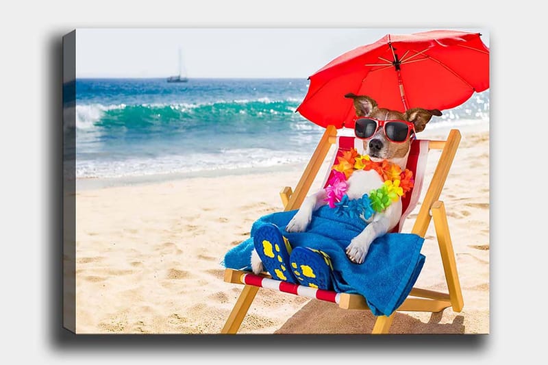 Lerretsbilde 70x100 cm - Avslappet hund som nyter solen på en strandstol under en parasoll, Rød / Blå / Gul