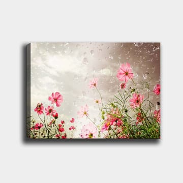 Lerretsbilde 70x100 cm - Blomster i forskjellige nyanser av rosa som vokser mot en dempet bakgrunn - Rosa / Grønn - Innredning - Bilder & kunst - Lerretsbilder