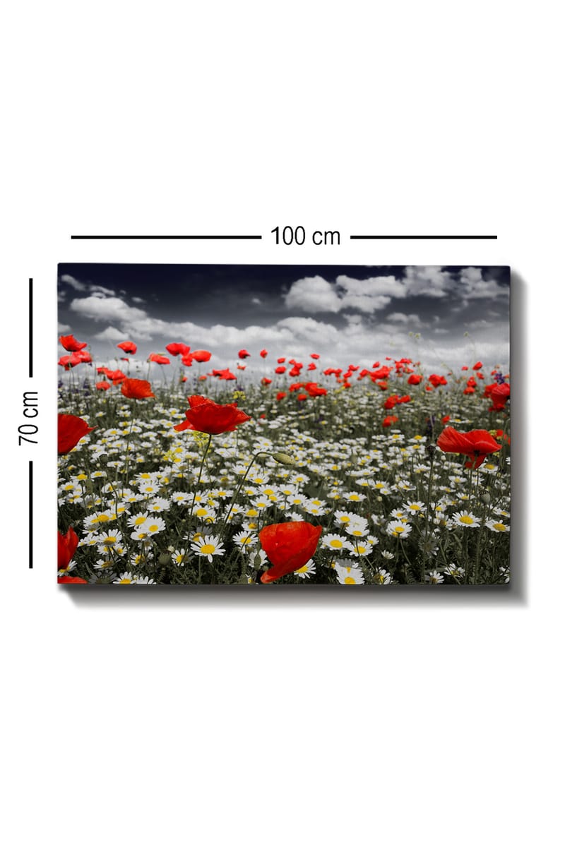 Lerretsbilde 70x100 cm - Blomstereng med røde valmuer og hvite tusenfryd som skaper en kontrastfylt og levende komposisjon - Rød / Hvit - Innredning - Bilder & kunst - Lerretsbilder