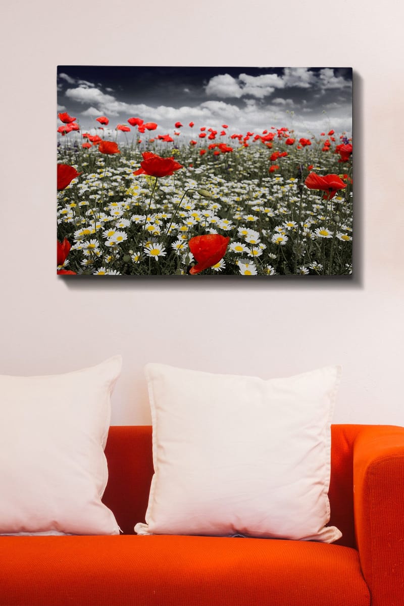 Lerretsbilde 70x100 cm - Blomstereng med røde valmuer og hvite tusenfryd som skaper en kontrastfylt og levende komposisjon - Rød / Hvit - Innredning - Bilder & kunst - Lerretsbilder