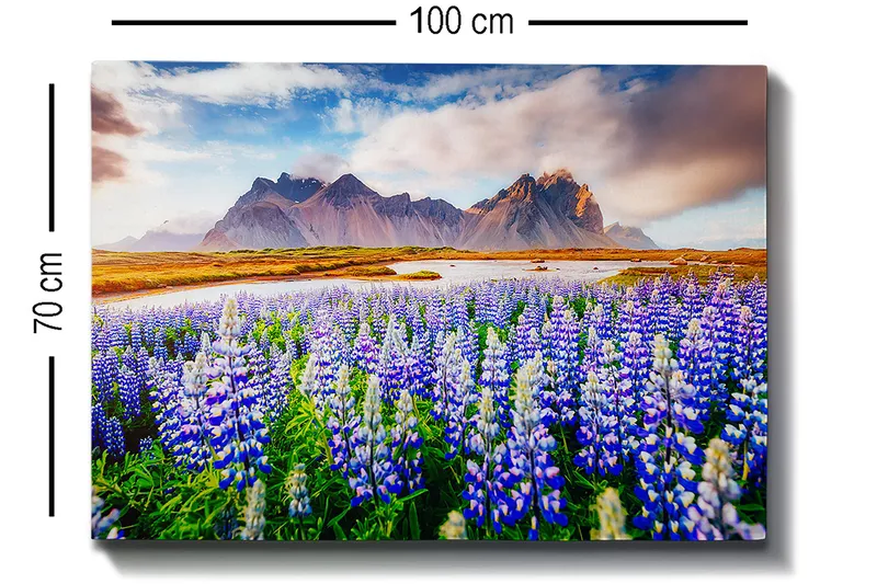 Lerretsbilde 70x100 cm - Blomstrende eng med lupiner i forskjellige nyanser av blått og hvitt, omgitt av majestetiske fjell i bakgrunnen - Blå / Hvit / Grønn - Innredning - Bilder & kunst - Lerretsbilder