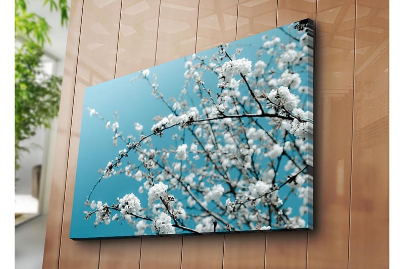 Lerretsbilde 70x100 cm - Blomstrende grener mot en klar, blå bakgrunn - Hvit / Lys blå - Innredning - Bilder & kunst - Lerretsbilder