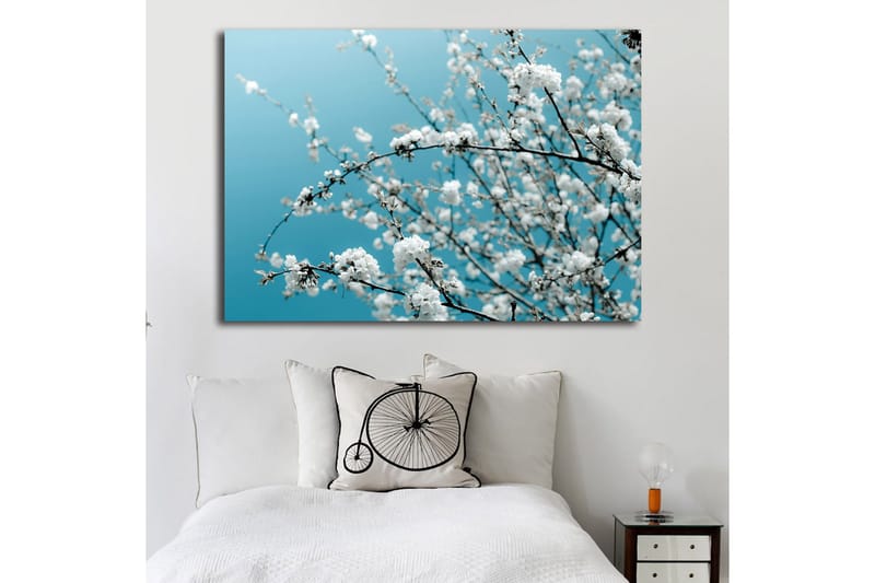 Lerretsbilde 70x100 cm - Blomstrende grener mot en klar, blå bakgrunn - Hvit / Lys blå - Innredning - Bilder & kunst - Lerretsbilder