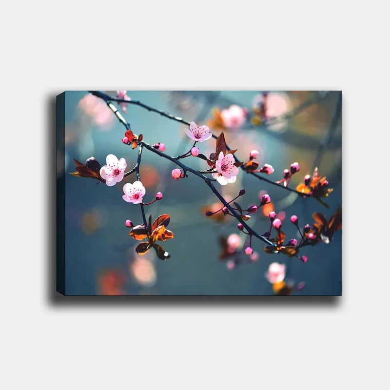 Lerretsbilde 70x100 cm - Blomstrende kirsebærgrener med rosa blomster og brune blader, Rosa / Brun / Grønn