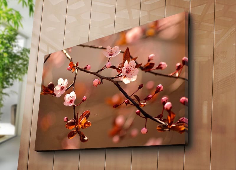 Lerretsbilde 70x100 cm - Blomstrende kirsebærgrener med rosa blomster og brune blader - Rosa / Brun - Innredning - Bilder & kunst - Lerretsbilder