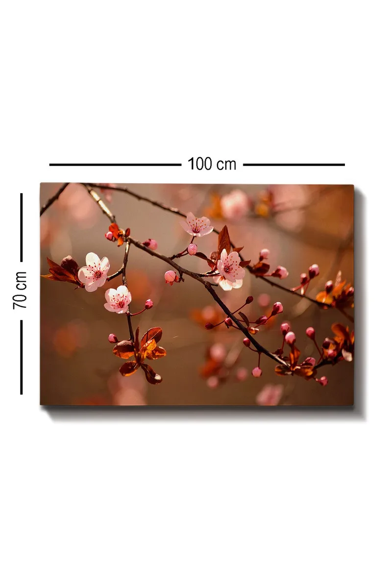 Lerretsbilde 70x100 cm - Blomstrende kirsebærgrener med rosa blomster og knopper - Rosa / Brun / Mørk rød - Innredning - Bilder & kunst - Lerretsbilder