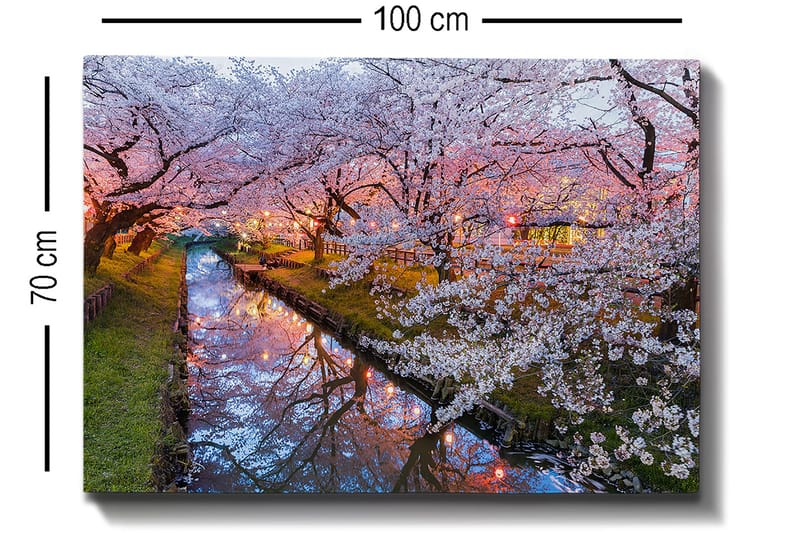 Lerretsbilde 70x100 cm - Blomstrende kirsebærtrær ved en stille kanal i skumringen - Rosa / Hvit / Grønn - Innredning - Bilder & kunst - Lerretsbilder