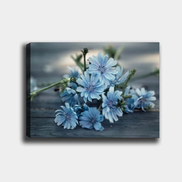 Lerretsbilde 70x100 cm - Bukett med lyseblå blomster som ligger på en mørk overflate - Lys blå / Grønn - Innredning - Bilder & kunst - Lerretsbilder