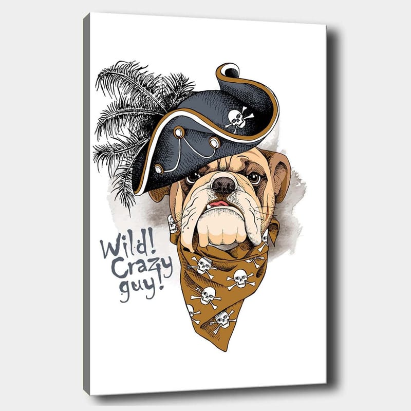 Lerretsbilde 70x100 cm - Bulldog iført pirathatt og bandana med hodeskaller, Beige / Svart / Oransje