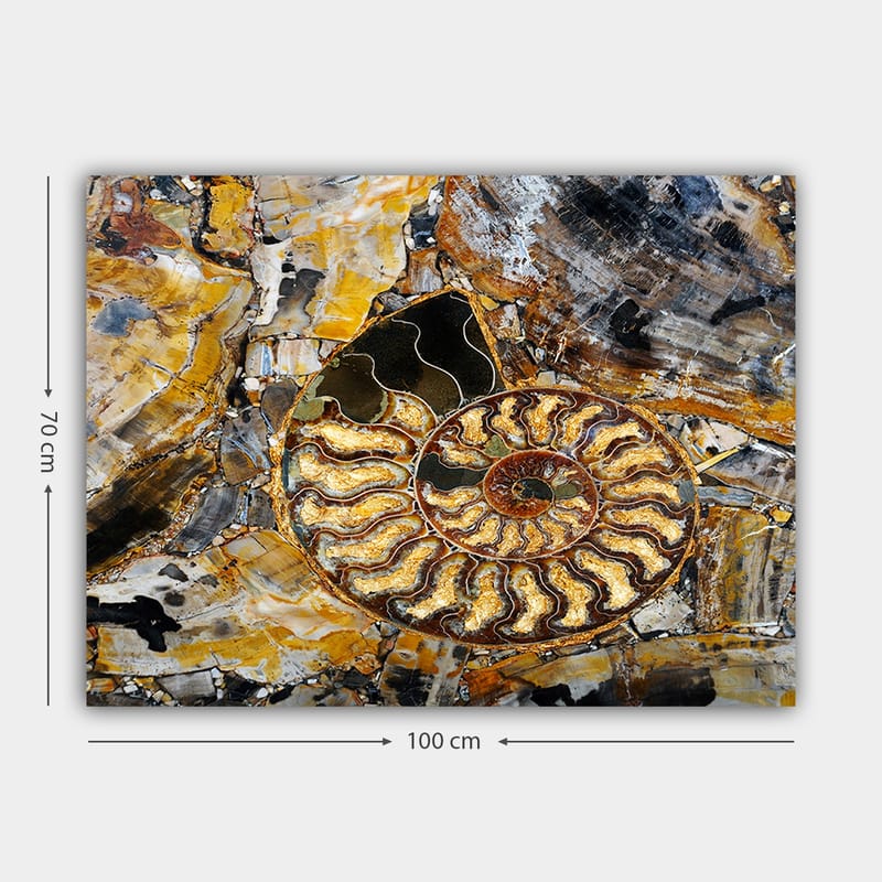 Lerretsbilde 70x100 cm - Detaljert avbildning av en snegle med spiralstruktur - Gull / Brun / Svart - Innredning - Bilder & kunst - Lerretsbilder