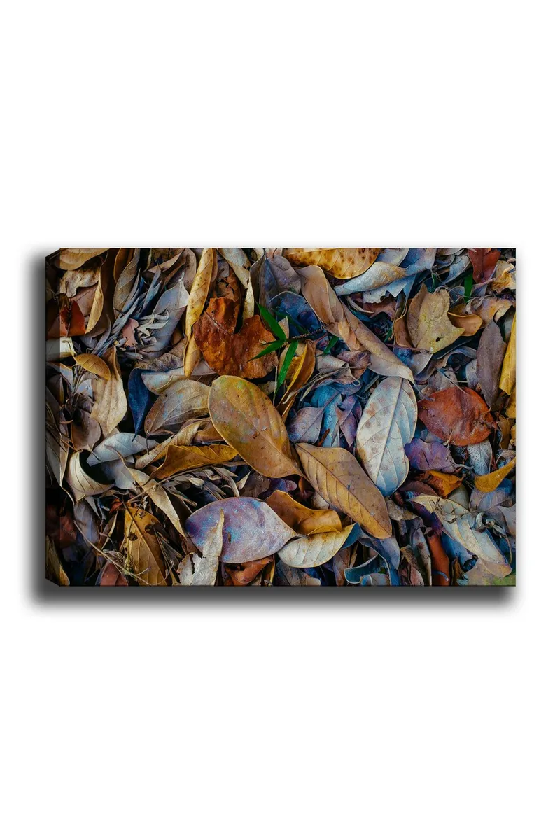 Lerretsbilde 70x100 cm - Detaljert samling av tørkede blader i forskjellige nyanser som skaper en naturlig tekstur, Brun / Beige / Grønn