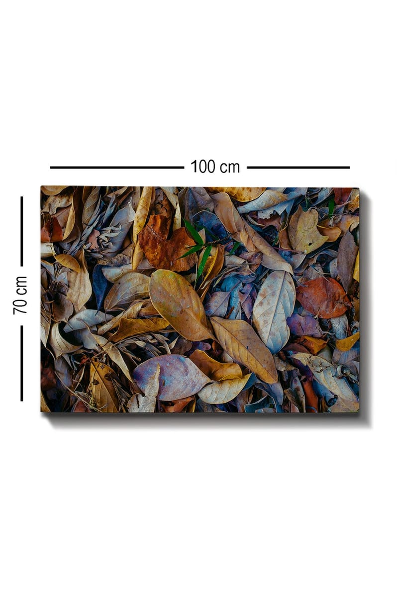 Lerretsbilde 70x100 cm - Detaljert samling av tørkede blader i forskjellige nyanser som skaper en naturlig tekstur - Brun / Beige / Grønn - Innredning - Bilder & kunst - Lerretsbilder