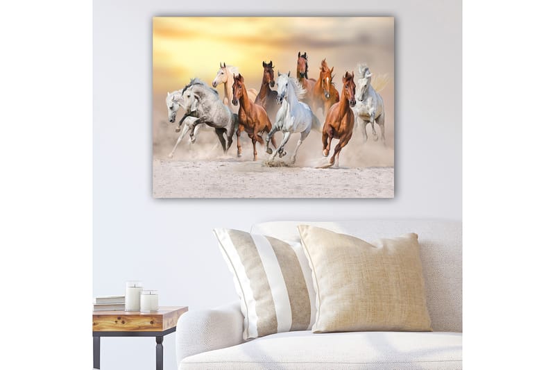 Lerretsbilde 70x100 cm - Dynamisk skildring av flere hester som galopperer i et sandete miljø, Hvit / Brun / Grå