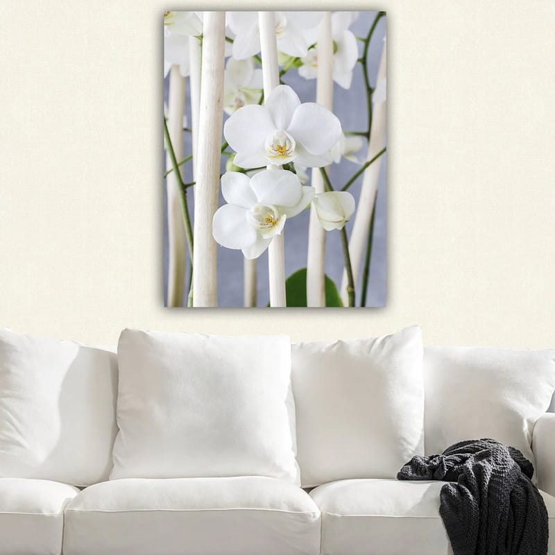Lerretsbilde 70x100 cm - Elegant komposisjon av hvite orkideer som vokser mellom lyse stilker - Hvit / Grønn - Innredning - Bilder & kunst - Lerretsbilder