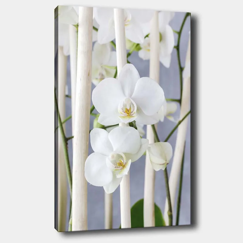 Lerretsbilde 70x100 cm - Elegant komposisjon av hvite orkideer som vokser mellom lyse stilker, Hvit / Grønn