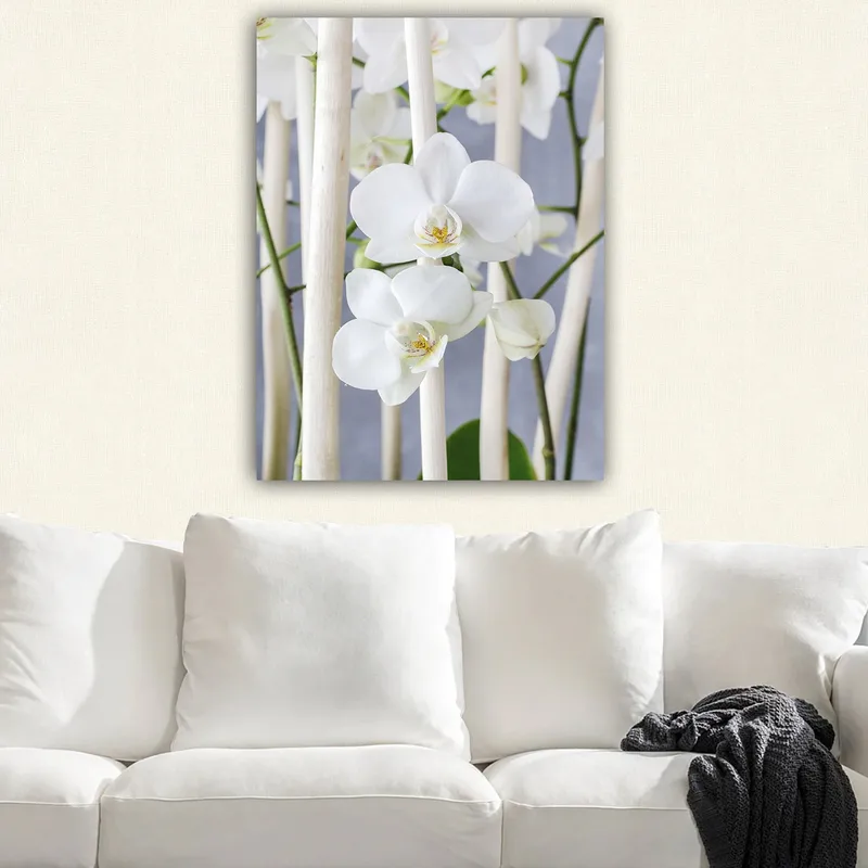 Lerretsbilde 70x100 cm - Elegant komposisjon av hvite orkideer som vokser mellom lyse stilker - Hvit / Grønn - Innredning - Bilder & kunst - Lerretsbilder