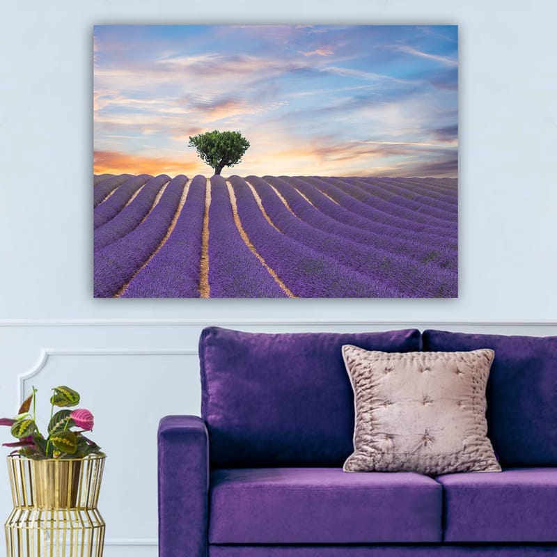 Lerretsbilde 70x100 cm - En ensom trekrone står stolt over et lavendelfelt i myke, bølgete rader under en fargerik himmel - Lilla / Grønn / Gul - Innredning - Bilder & kunst - Lerretsbilder