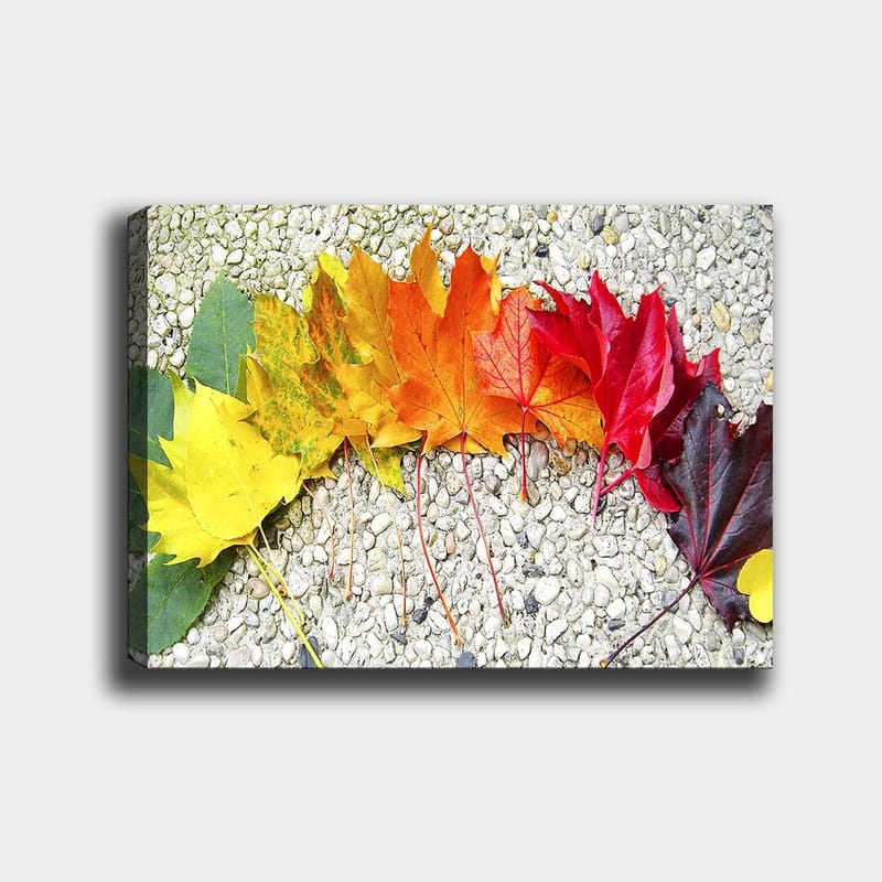 Lerretsbilde 70x100 cm - En rekke fargerike høstblader i forskjellige nyanser som viser naturens skjønnhet - Rød / Oransje / Gul - Innredning - Bilder & kunst - Lerretsbilder