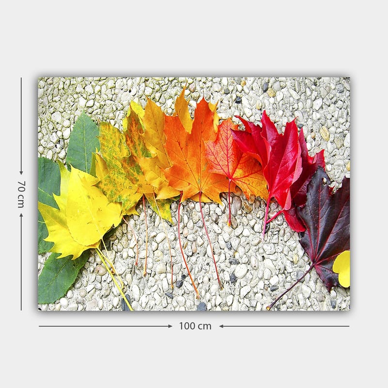 Lerretsbilde 70x100 cm - En rekke fargerike høstblader i forskjellige nyanser som viser naturens skjønnhet - Rød / Oransje / Gul - Innredning - Bilder & kunst - Lerretsbilder