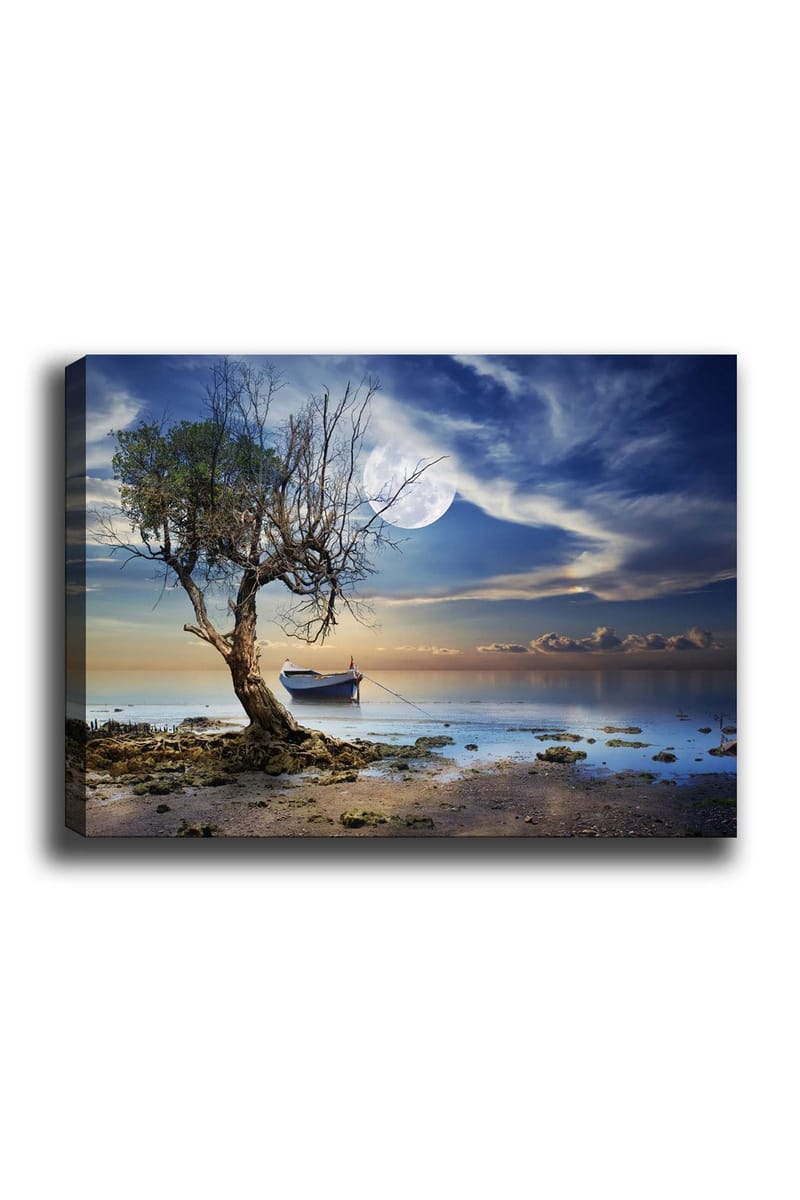 Lerretsbilde 70x100 cm - Ensom, død trestamme ved en stille vannflate med en båt i bakgrunnen under en stjerneklar himmel, Blå / Grønn / Beige