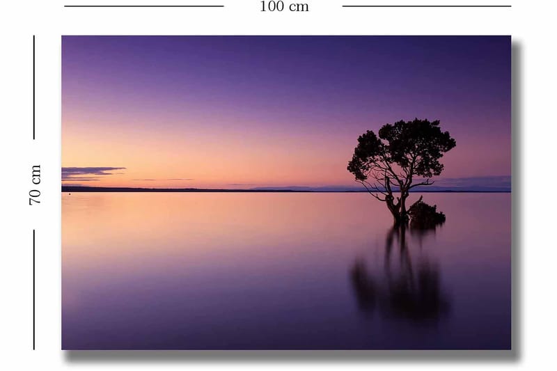 Lerretsbilde 70x100 cm - Ensom tretopp speilet i en stille innsjø under en fargerik himmel i skumringen - Lilla / Oransje / Svart - Innredning - Bilder & kunst - Lerretsbilder