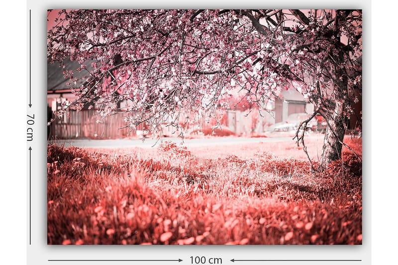 Lerretsbilde 70x100 cm - Et blomstrende kirsebærtre i romantiske og drømmeaktige omgivelser - Rosa / Grå - Innredning - Bilder & kunst - Lerretsbilder