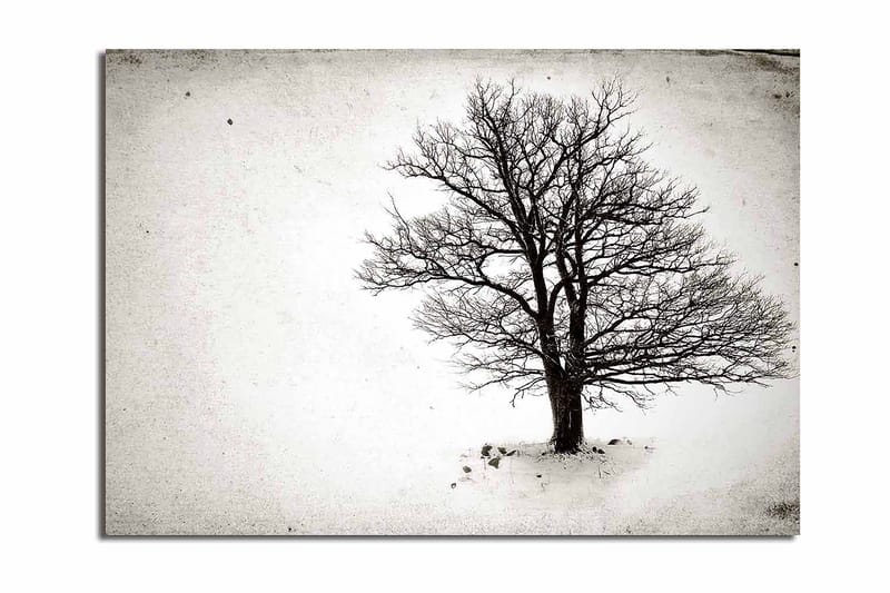 Lerretsbilde 70x100 cm - Et ensomt, bladløst tre i et snødekt landskap, Svart / Hvit