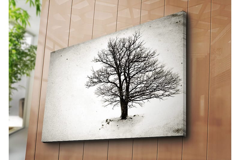 Lerretsbilde 70x100 cm - Et ensomt, bladløst tre i et snødekt landskap - Svart / Hvit - Innredning - Bilder & kunst - Lerretsbilder