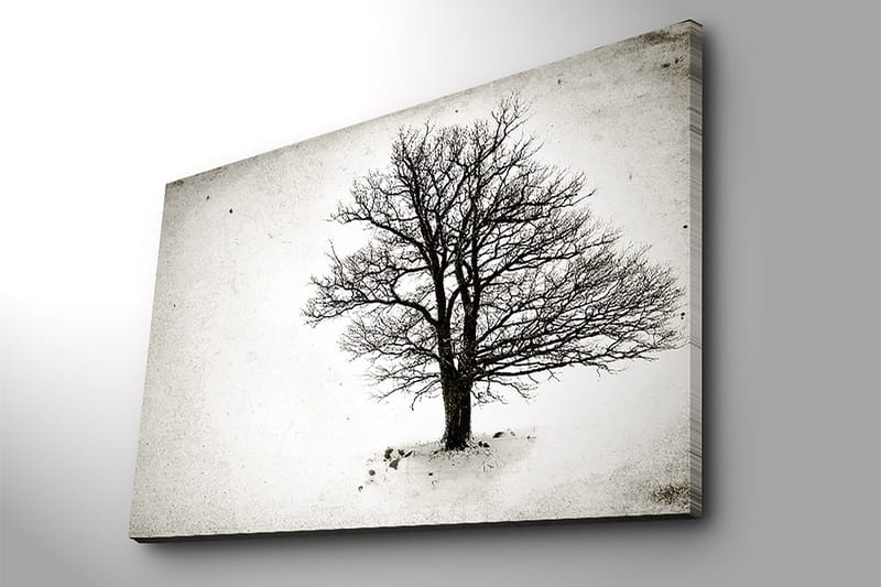 Lerretsbilde 70x100 cm - Et ensomt, bladløst tre i et snødekt landskap - Svart / Hvit - Innredning - Bilder & kunst - Lerretsbilder