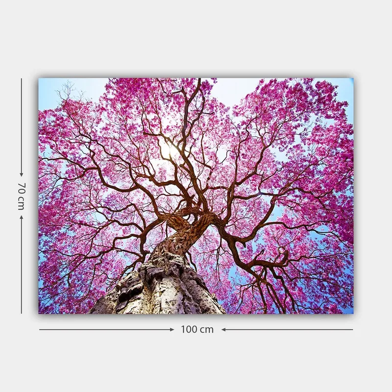 Lerretsbilde 70x100 cm - Et majestetisk kirsebærtre med blomstrende rosa blomster som strekker seg mot en klar blå himmel - Rosa / Brun / Blå - Innredning - Bilder & kunst - Lerretsbilder