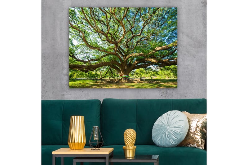 Lerretsbilde 70x100 cm - Et stort og majestetisk tre med spredte grener og frodig grøntområde - Grønn / Brun - Innredning - Bilder & kunst - Lerretsbilder