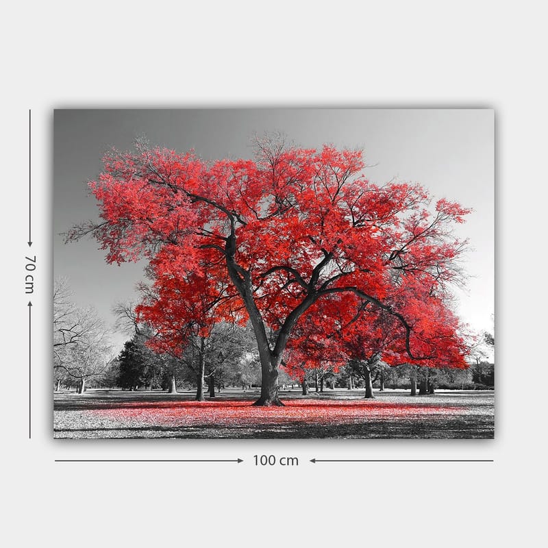 Lerretsbilde 70x100 cm - Et stort rødt tre i et svart-hvitt parklandskap - Rød / Svart - Innredning - Bilder & kunst - Lerretsbilder