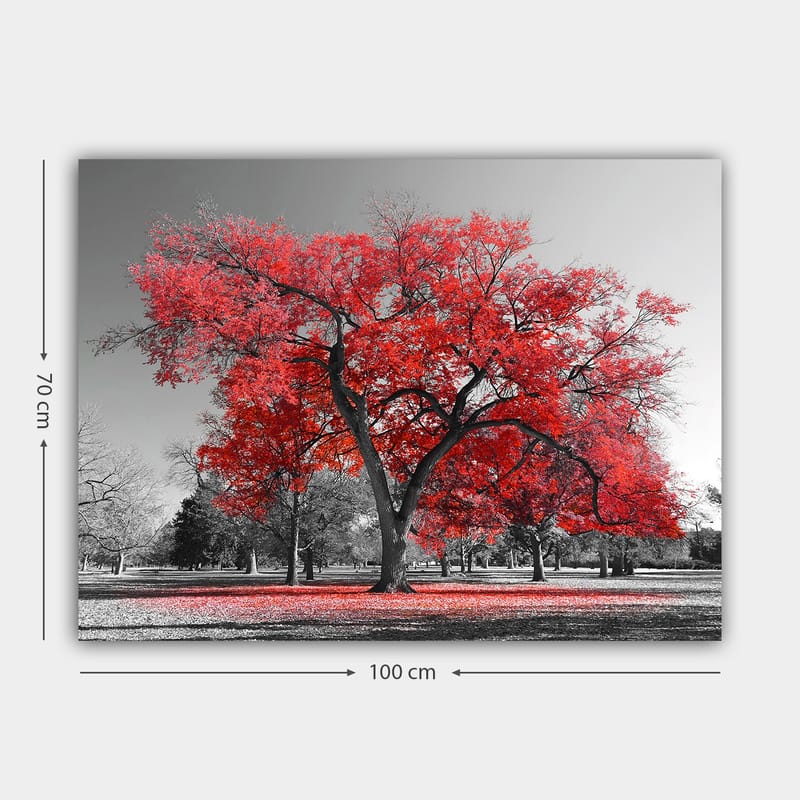 Lerretsbilde 70x100 cm - Et stort rødt tre i et svart-hvitt parklandskap - Rød / Svart - Innredning - Bilder & kunst - Lerretsbilder