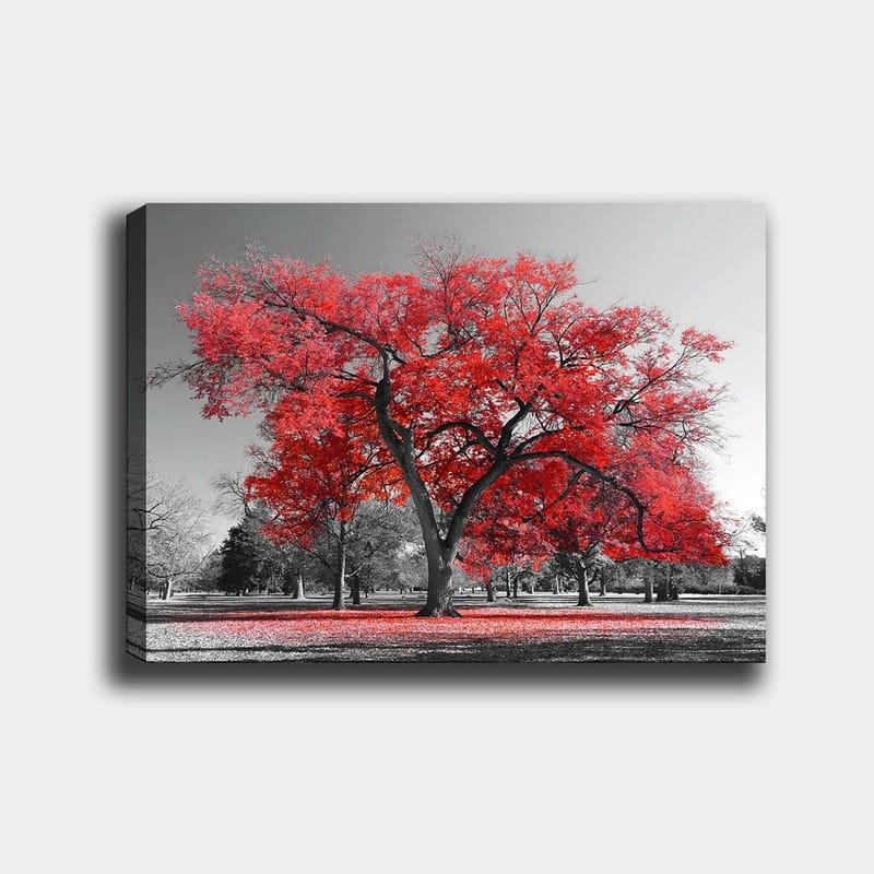 Lerretsbilde 70x100 cm - Et stort rødt tre i et svart-hvitt parklandskap - Rød / Svart - Innredning - Bilder & kunst - Lerretsbilder