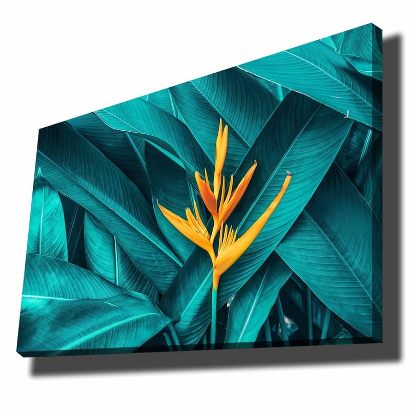 Lerretsbilde 70x100 cm - Fargerik blomst omgitt av store, grønne blader, Turkis / Gul