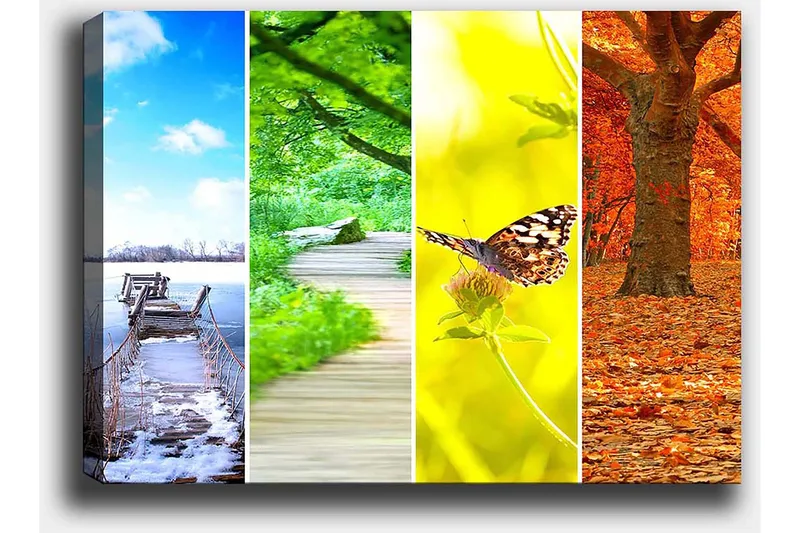 Lerretsbilde 70x100 cm - Fargerik firedelt maleri som viser forskjellige årstider med naturmotiver - Blå / Grønn / Oransje - Innredning - Bilder & kunst - Lerretsbilder