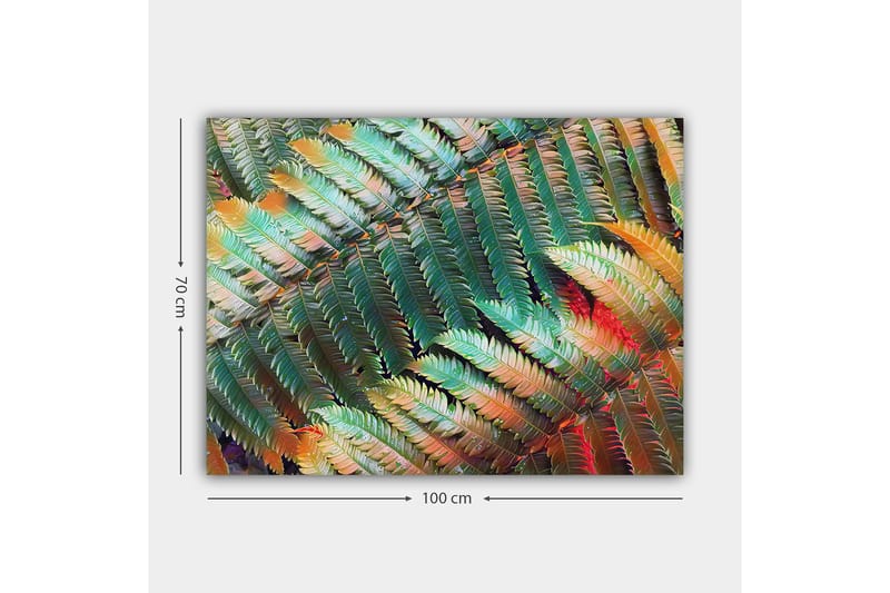 Lerretsbilde 70x100 cm - Fargerik komposisjon av bregner med varierende nyanser av grønt og oransje - Grønn / Oransje - Innredning - Bilder & kunst - Lerretsbilder