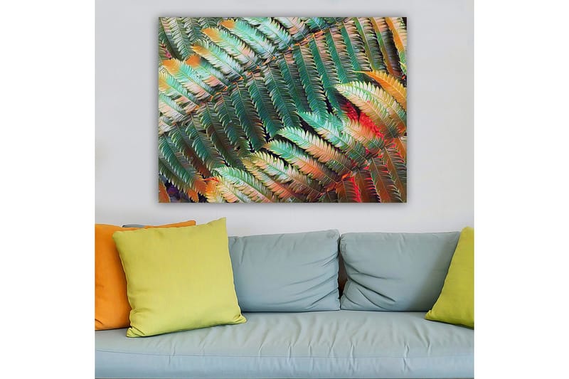 Lerretsbilde 70x100 cm - Fargerik komposisjon av bregner med varierende nyanser av grønt og oransje - Grønn / Oransje - Innredning - Bilder & kunst - Lerretsbilder