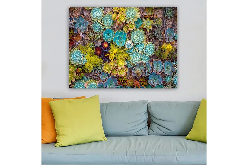 Lerretsbilde 70x100 cm - Fargerik samling av forskjellige sukkulenter i varierende former og nyanser - Turkis / Grønn / Gul - Innredning - Bilder & kunst - Lerretsbilder